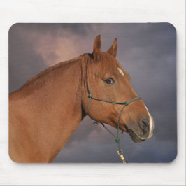 Mousepad Cavalo castanho-do-castanho-ocidental