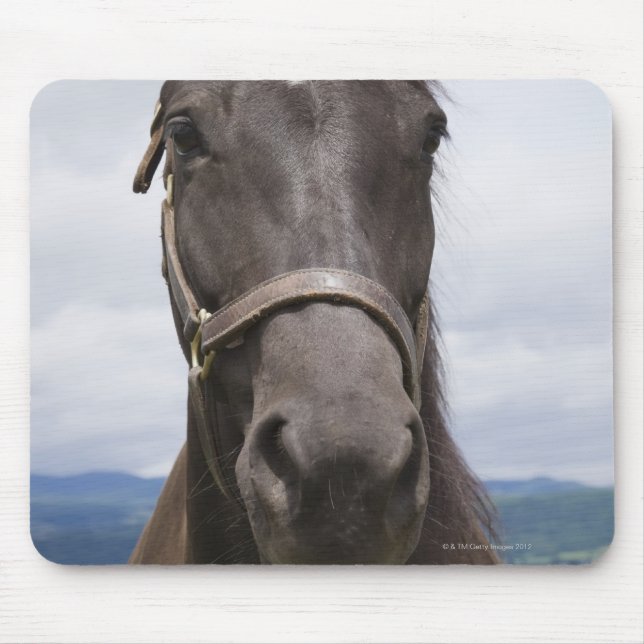 Mousepad Cavalo castanho escuro (Frente)
