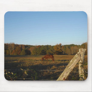 Mousepad Cavalo castanho no Sol