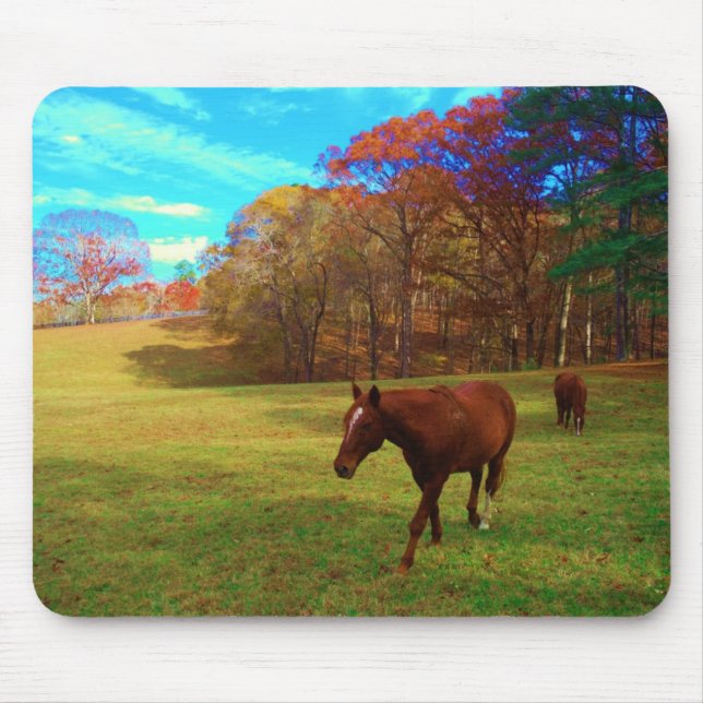 Mousepad Cavalo castanho num campo colorido arco-íris (Frente)