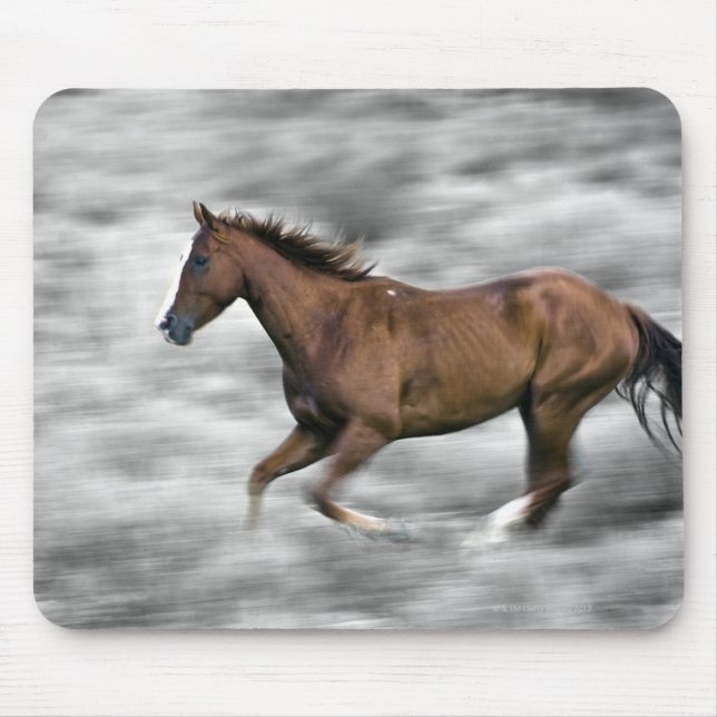 Mousepad Cavalo correndo (Frente)