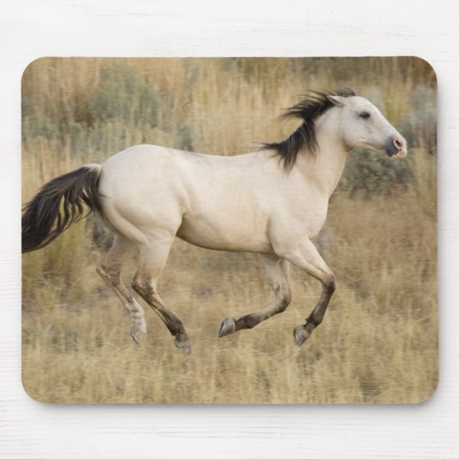 Mousepad Cavalo Correndo Pela Grama Prairie (Frente)