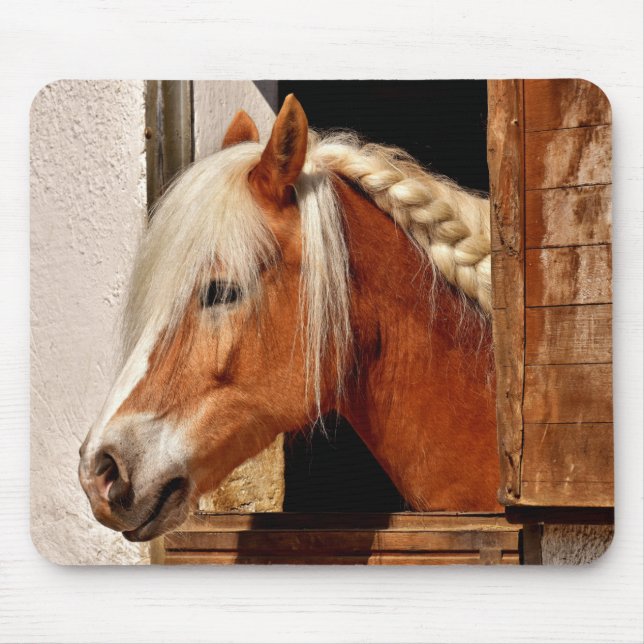 Mousepad Cavalo Cujo (Frente)