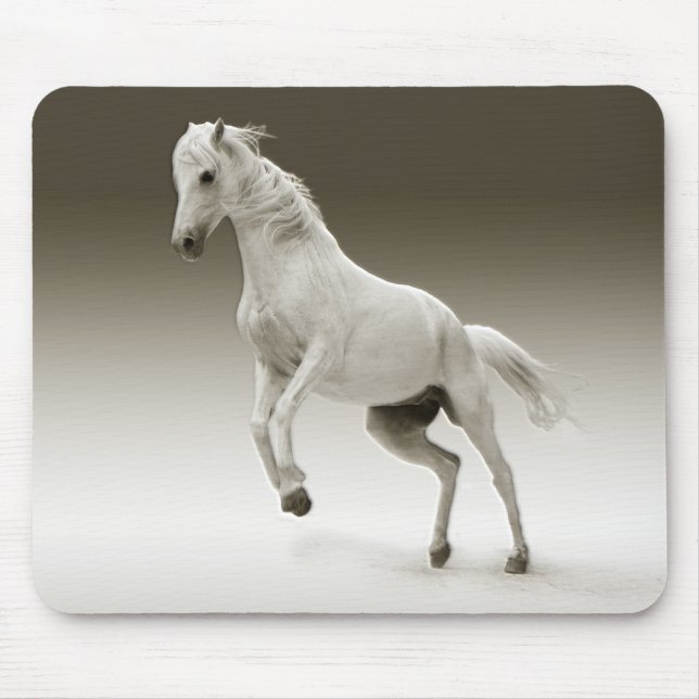 Mousepad Cavalo da égua branca equestre (Frente)