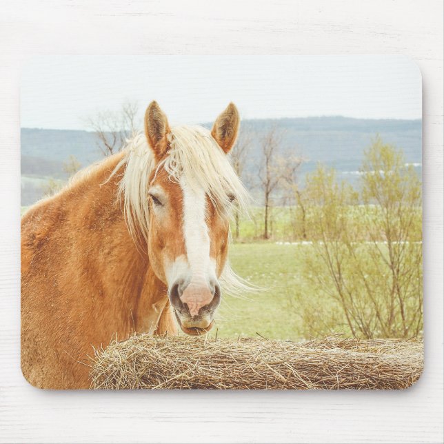 Mousepad Cavalo da Fazenda Summer Breeze Palomino  (Frente)