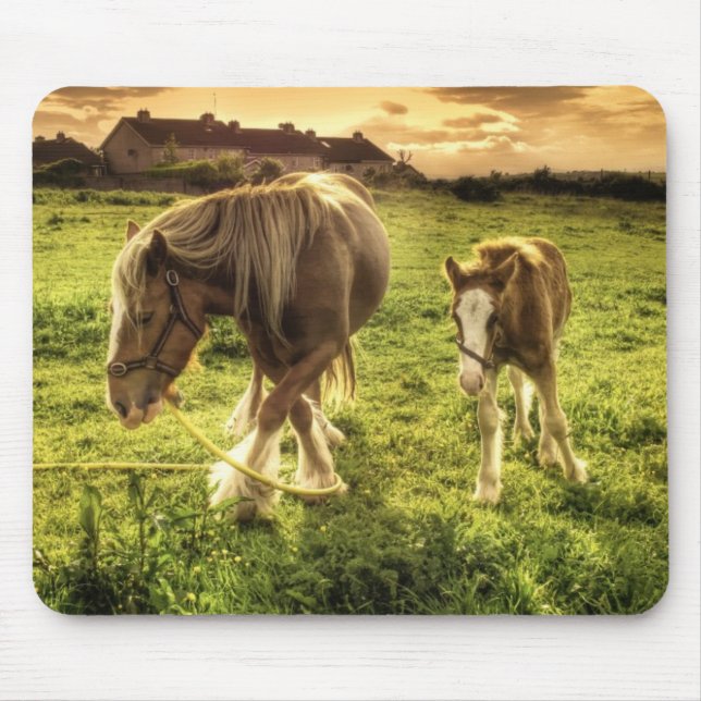 Mousepad Cavalo da mãe & do potro (Frente)