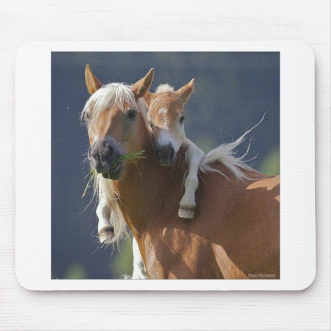 Mousepad Cavalo da mãe e do bebê (Frente)