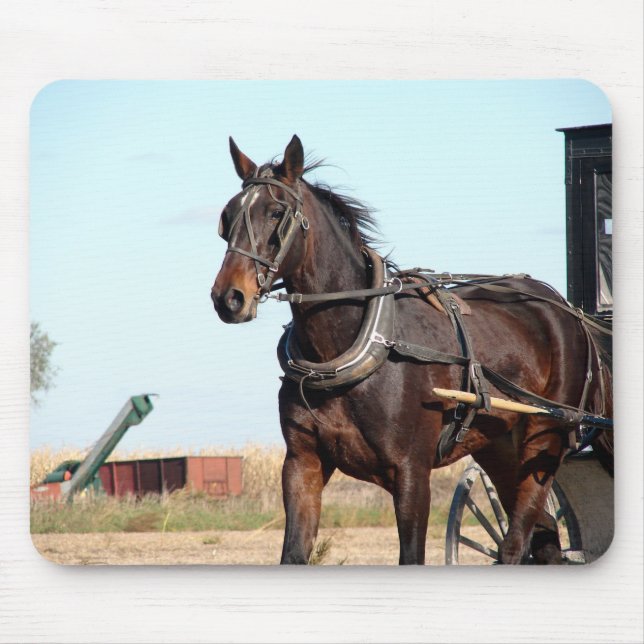 Mousepad Cavalo de Amish Rural e Buggy (Frente)