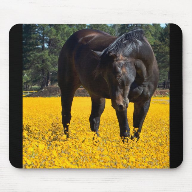 Mousepad Cavalo de Baía num Campo de Flores Amarelas (Frente)