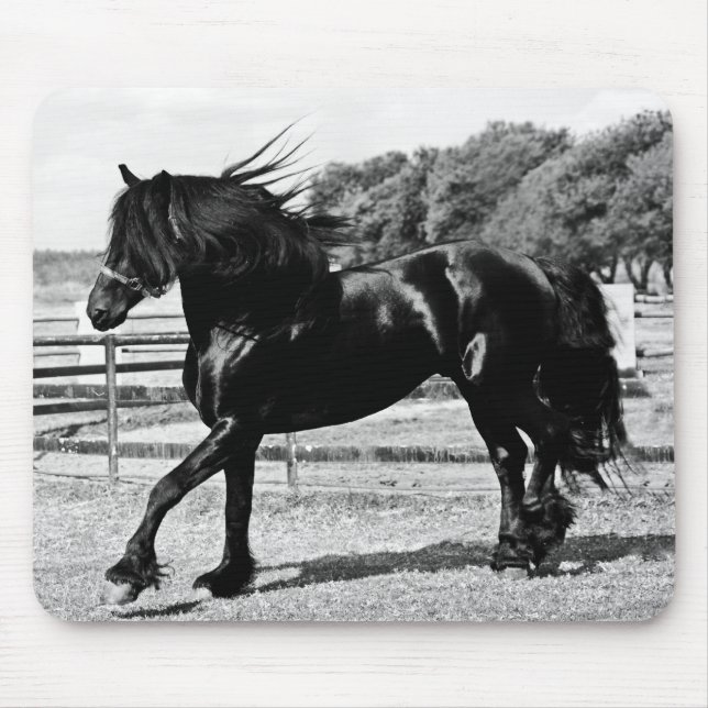 Mousepad Cavalo de Bela Negra (Frente)