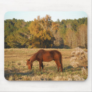 Mousepad Cavalo de Brown no campo amarelo da árvore