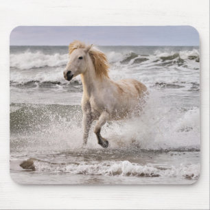 Mousepad Cavalo de Camargue Sem Surf