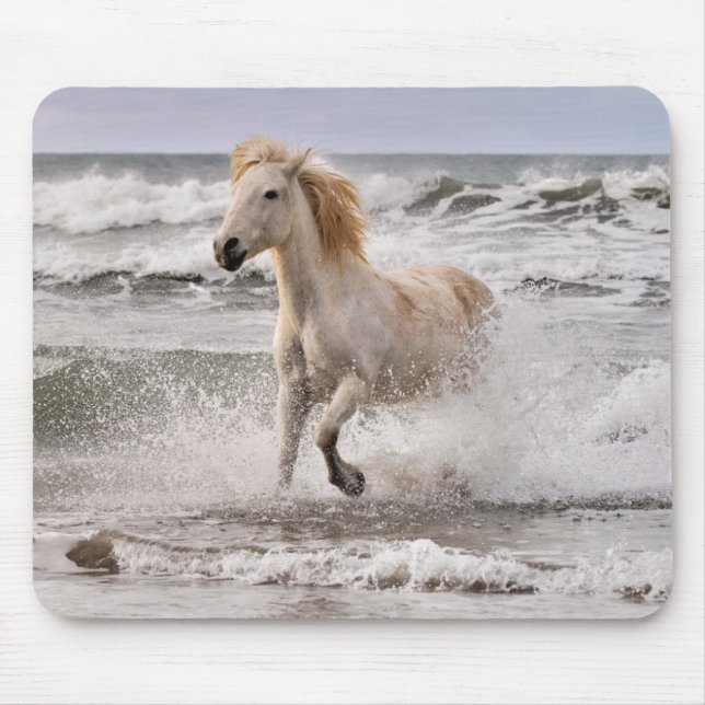 Mousepad Cavalo de Camargue Sem Surf (Frente)