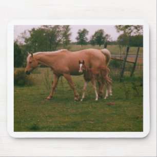 Mousepad Cavalo de Moma e cavalo do bebê