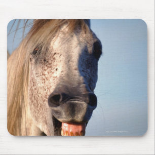 Mousepad cavalo de riso