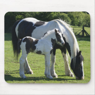 Mousepad Cavalo de Vanner Cigano Mare e Foal