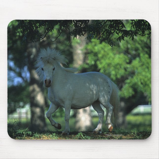 Mousepad Cavalo diminuto que está nas árvores (Frente)