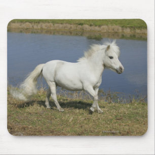 Mousepad Cavalo diminuto que funciona perto da água