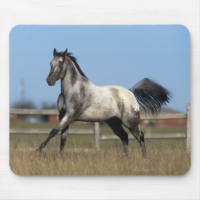 Mousepad Cavalo do Appaloosa que funciona 3 (Frente)