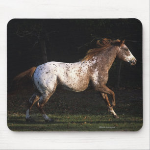 Mousepad Cavalo do Appaloosa que funciona 4