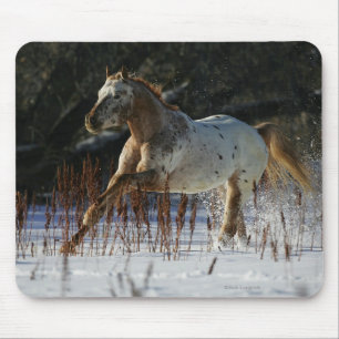 Mousepad Cavalo do Appaloosa que funciona na neve