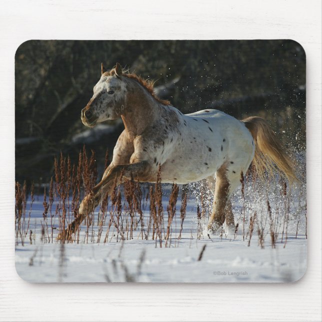 Mousepad Cavalo do Appaloosa que funciona na neve (Frente)