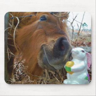 Mousepad Cavalo do coelhinho da Páscoa e do Brown