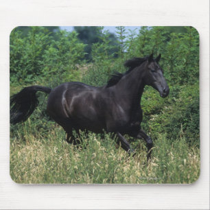 Mousepad Cavalo do puro-sangue que funciona na grama