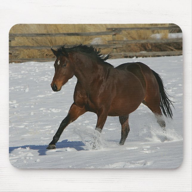 Mousepad Cavalo do puro-sangue que funciona na neve (Frente)