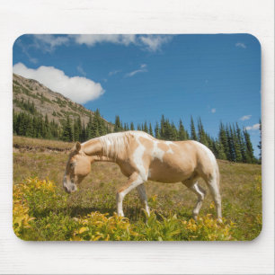 Mousepad Cavalo em pastagens em uma pradaria alpina no verã