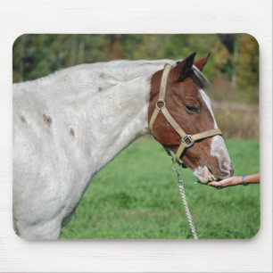 Mousepad Cavalo feliz