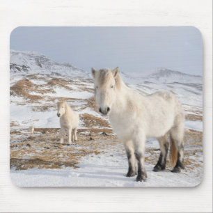 Mousepad Cavalo Islandês Blonduos, Islândia