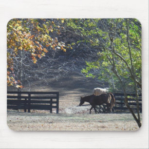 Mousepad Cavalo Marrom andando pela cerca