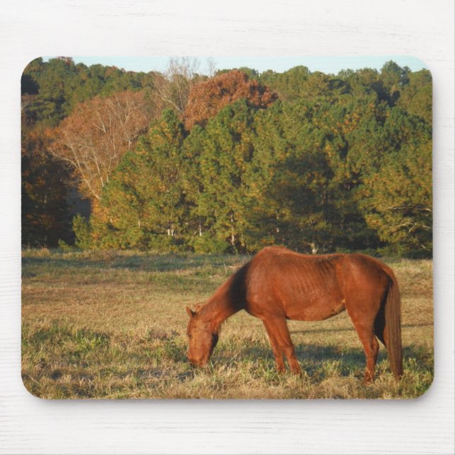 Mousepad Cavalo Marrom com Pinheiros (Frente)