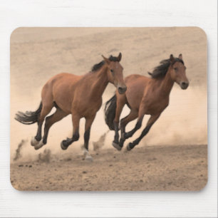 Mousepad Cavalo na queda II