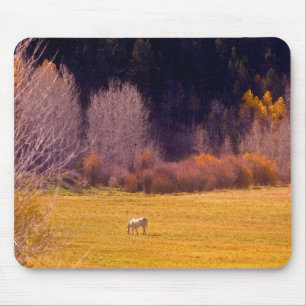 Mousepad Cavalo na queda mim