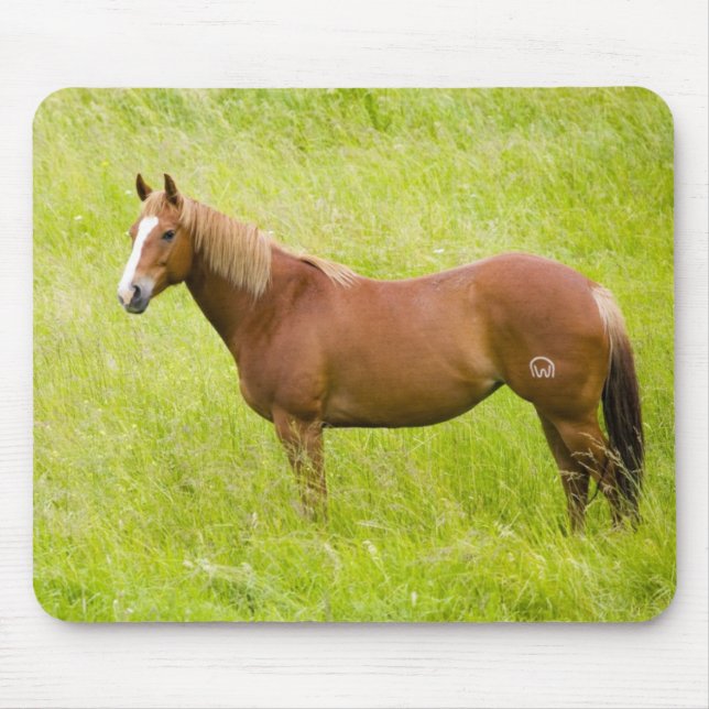 Mousepad Cavalo no Campo de Primavera (Frente)