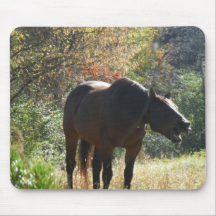 Mousepad Cavalo no outono