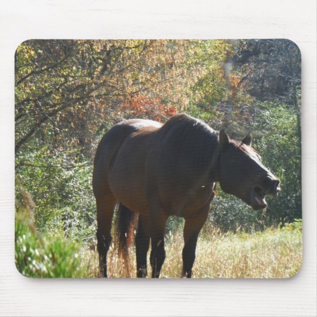 Mousepad Cavalo no outono (Frente)