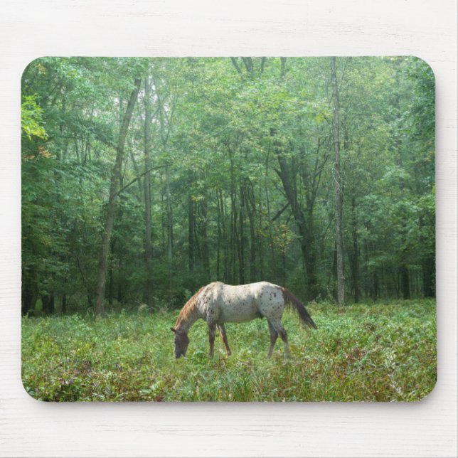 Mousepad Cavalo no prado (Frente)