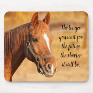 Mousepad Cavalo Pacífico