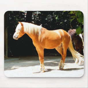 Mousepad Cavalo Palomino