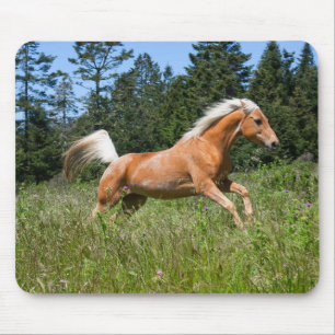 Mousepad Cavalo Palomino Correndo por uma Campina