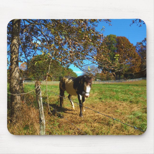 Mousepad Cavalo Pintado, (Frente)