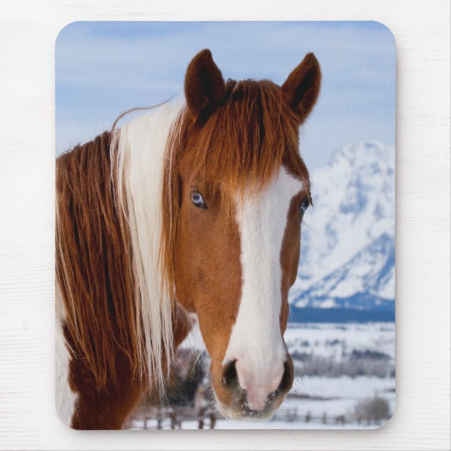 Mousepad Cavalo Pinto Monte Moran no Inverno (Frente)