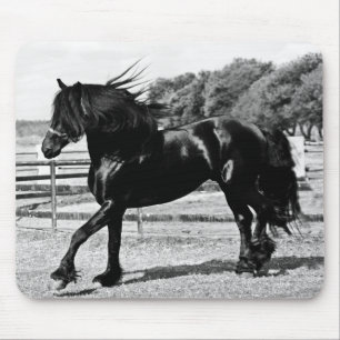 Mousepad Cavalo preto da beleza