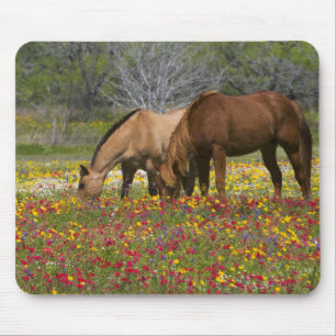 Mousepad Cavalo Quarto de Milha em campo de flores silvestr