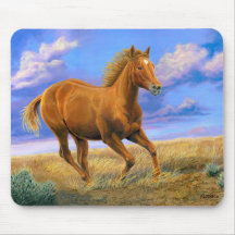 Cavalo Quarto de Milha “Liberdade Sem Freios” Corr