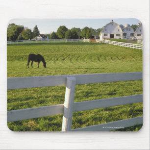 Mousepad Cavalo que pasta na fazenda