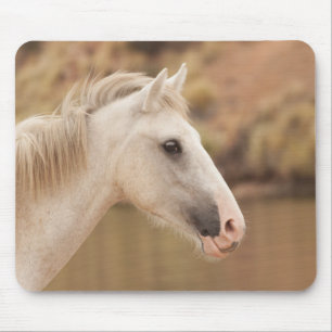 Mousepad Cavalo selvagem branco